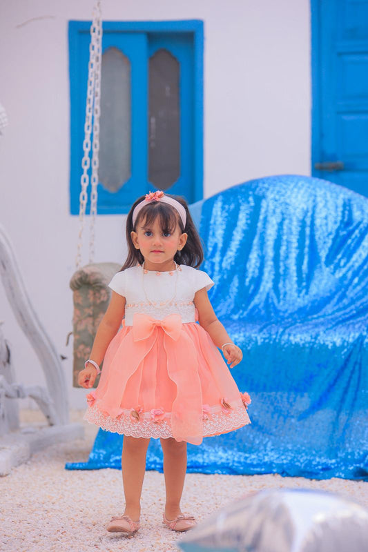 Organza Baby Dress